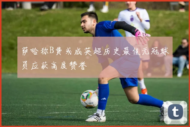 萨哈称B费或成英超历史最佳无冠球员应获高度赞誉