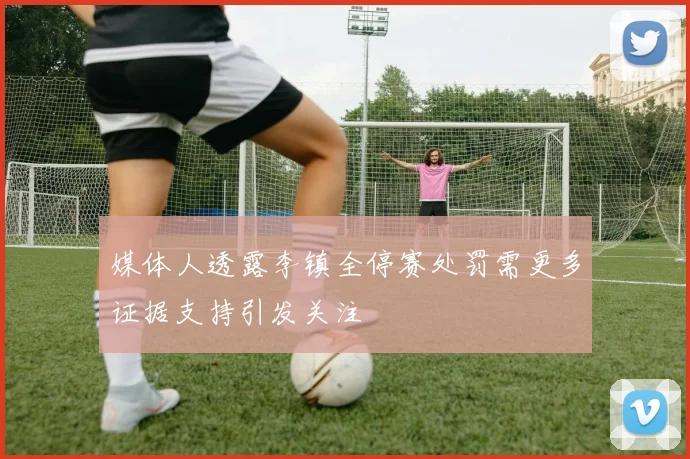 媒体人透露李镇全停赛处罚需更多证据支持引发关注